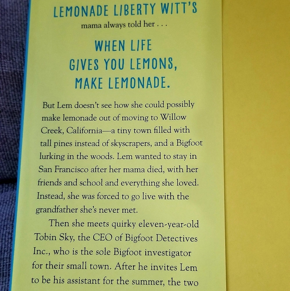 Chapter Book - Picture 4 of 5